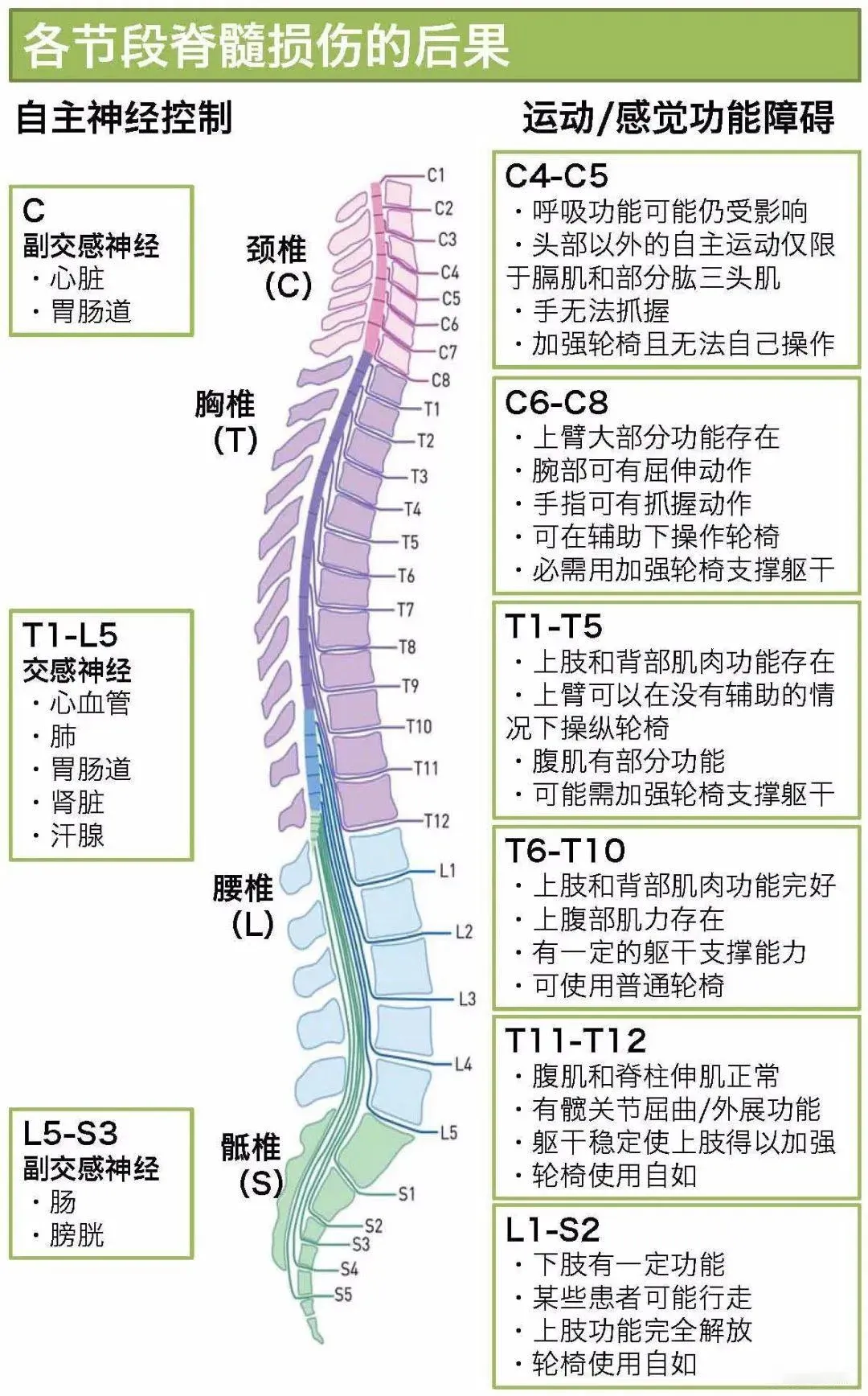 国际脊髓损伤日:穿上外骨骼机器人,站立行走不是梦