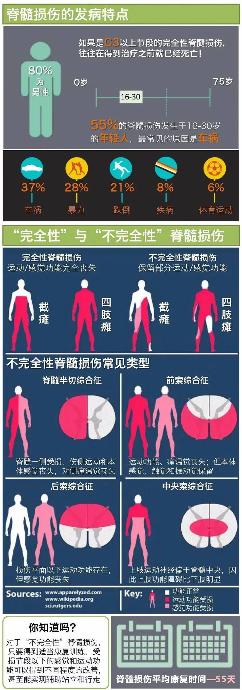 国际脊髓损伤日:穿上外骨骼机器人,站立行走不是梦